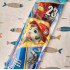 Paw Patrol Kite 23 Inch Tall (very cute ready to fly)