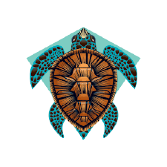 Deluxe SEA Turtle Diamond Kite Nylon 26 Inches 